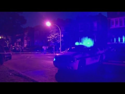 Illinois Republicans propose changes to state's SAFE-T Act