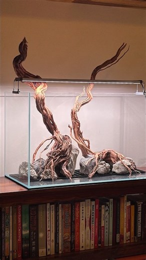Hardscape for Aquascape💧🌿