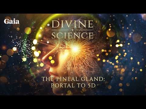 The Neuroscience of Remote Viewing: Is the Pineal Gland a Bio-Antenna?