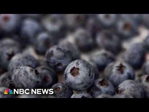 FDA upgrades frozen berry recall to highest risk level
