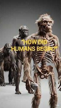 “Did Humans Really Come From Monkeys? The Truth Will Shock You!”