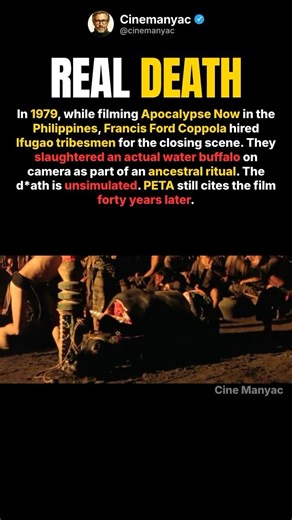 Apocalypse Now's Final Scene Featured A Real Animal Sacrifice #shorts