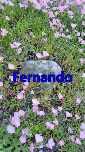 ○ Fernando - ABBA ○ #Old Song #Music #7080 #pop #추억의팝송