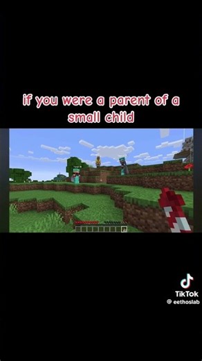 🤣 😂 #geminitay #hermitcraft #shorts #viral #impulse #cubfan135 #shortsfeed #shortsviral #minecraft