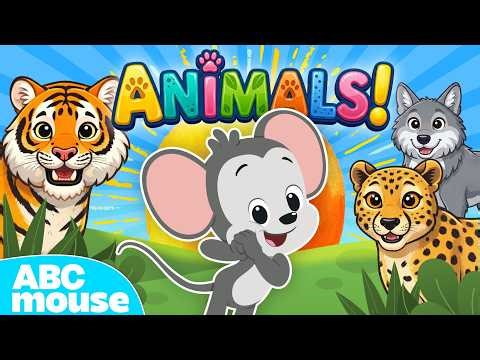 🔴 LIVE: Animals with ABCmouse! | Learn All About Animals | Full Episodes