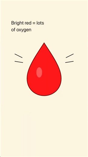 Why Is Blood Red?🤔