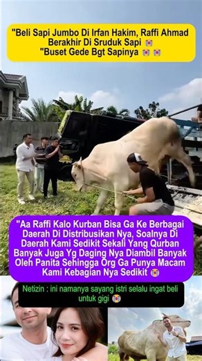 Raffi Ahmad was gored by a cow #raffiahmad #irfanhakim