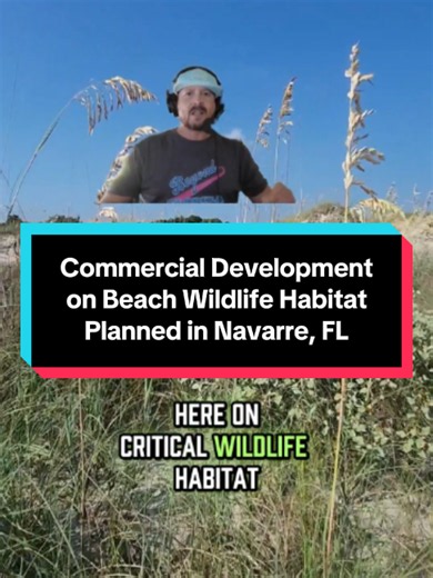 Navarre, FL - Santa Rosa County officials are soliciting bids for a new, multi-million dollar commercial facility. The problem? It's right on a wildlife habitat that is home to threatened species and sea turtles, this according to wildlife officials and residents. One County Commissioner told residents that they were