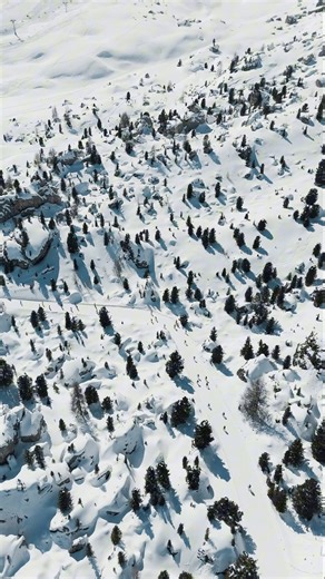 A legendary ski journey and one of the most iconic experiences in the Dolomites. The Sellaronda is a unique circular ski tour around the Sella Massif, spanning 26 km of groomed slopes and connecting four extraordinary valleys: Val Gardena, Alta Badia, Val di Fassa, and Arabba. ✨ The Sellaronda is featured in many of our Ski Safaris and can also be crafted as part of a fully made-to-measure winter adventure, enhanced with gourmet mountain stops, breathtaking panoramic descents, and carefully sele