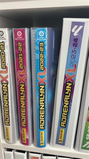 Exploring Panini Adrenalyn XL 25/26 Trading Cards