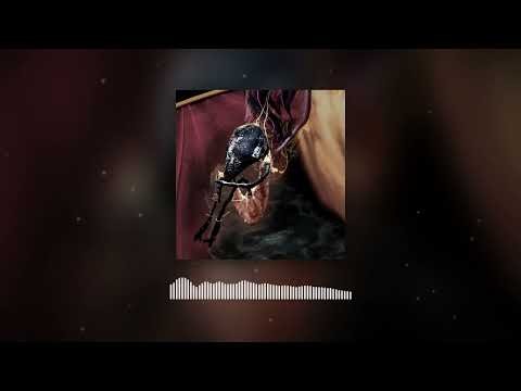brakence - ready or noT