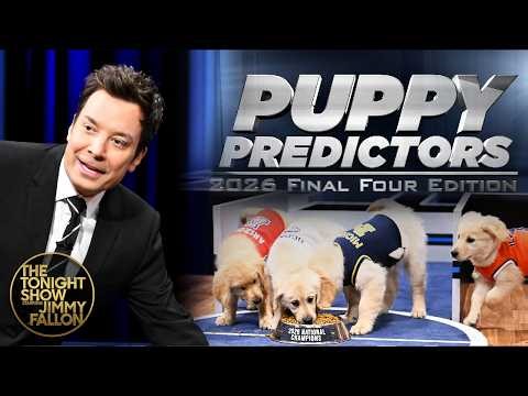 Puppies Predict the 2026 Final Four Championship | The Tonight Show Starring Jimmy Fallon