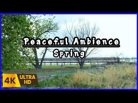 🌳The Positive Energy of a Peaceful Spring / 🌞Relaxing Nature Ambience Meditation