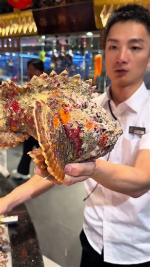 Catching Dangerous Stonefish & Cutting It | Most Poisonous Fish in the World