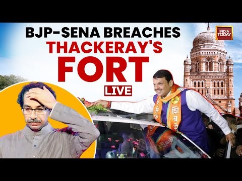 Maha Municipal Election Result LIVE | BJP Supporters Celebrate As Mahayuti Nears Victory