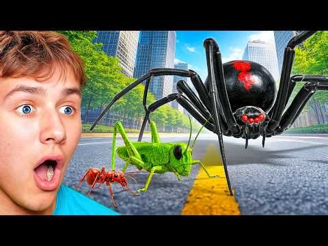BeckBros React To INSECT SIZE COMPARISONS