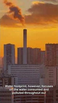 Carbon Footprint vs Water Footprint: Which Should You Worry About More?