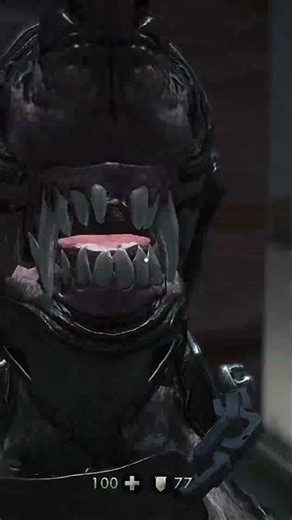 wolfenstein the new order
