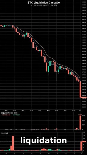 BTC liquidation cascade #Shorts