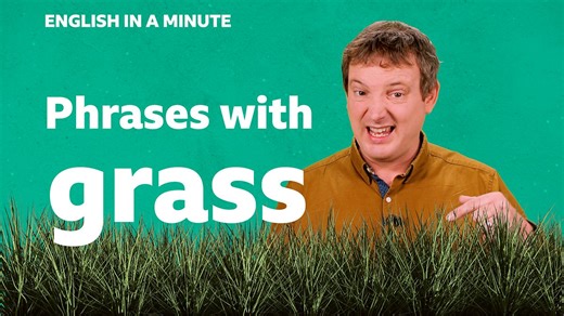 BBC Learning English - English in a Minute Series 5 / Phrases with 'grass'