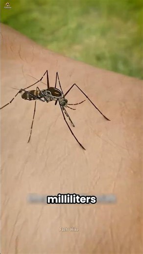 What If Thousands of Mosquitoes Attack You? 🦟😱