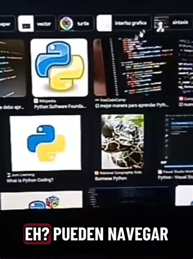 Programación en Python: Ellos y la Terapia