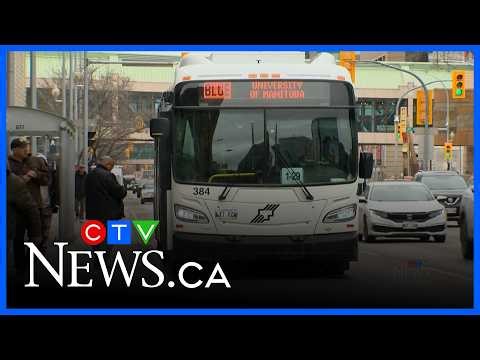 More changes recommended for Winnipeg Transit