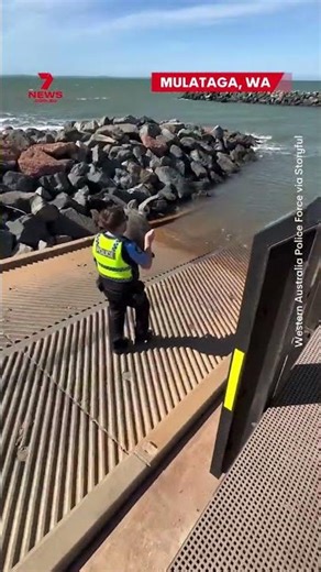 WA police officers have released a captured sea turtle off Back Beach in Mulataga
