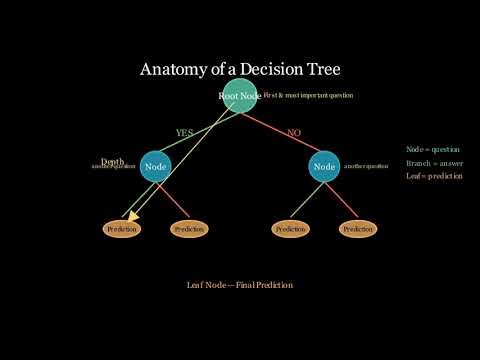 The Power of a Decision Tree