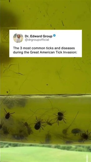 The 3 Most Common Ticks and Disease #shorts