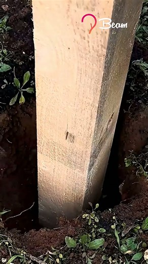 Clever solutions to everyday problems #smart #easy #fixingthings