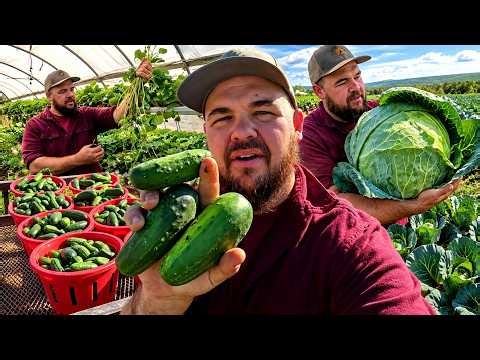Fall Harvest is Thriving (It's Better Than Expected)