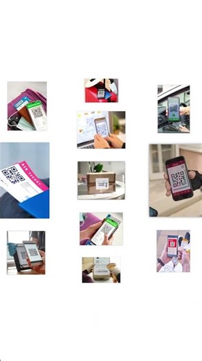 QR Code Reader: Scanner App