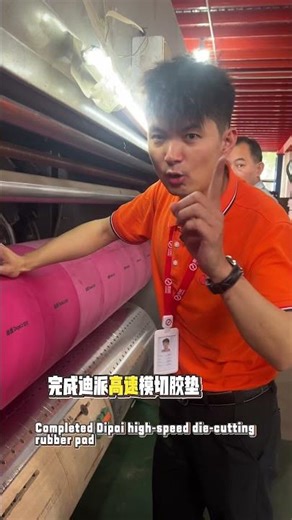 Dipai High-Speed ​​Die-Cutting Creasing Matrix: Easy Forming, Clean Waste Stripping.