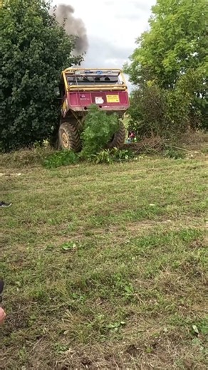 🔥😱 “Tatra Breaks Trees”