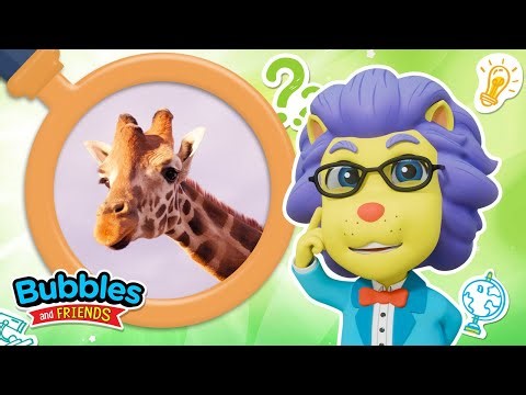 Let's learn about giraffes! | 5 Fun Giraffe Facts for Kids | Bubbles and Friends