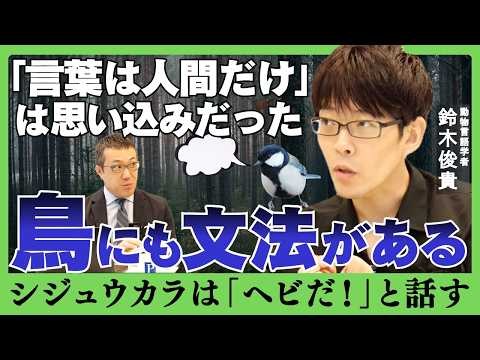 【鈴木俊貴】鳥の言葉をどう解読したのか｜シジュウカラから始まった動物言語学