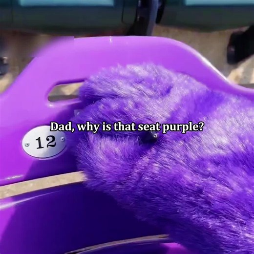 Purple Seat at Citi Field: The Story Behind the Grimace Tribute