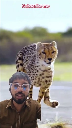 Mr beast V/S Cheeta 🐅 Challenge 😱 #shorts #trending #viral #mrbeast #bestyoutuber #bestyoutuber