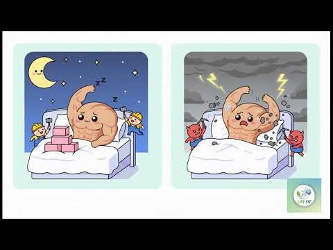 How long does it take for you to lose muscle when you stop training?