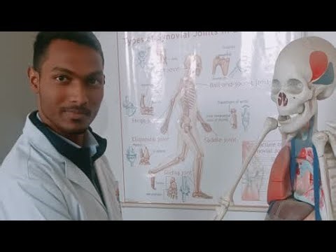 Now we are study of mitochondria in animal cell how to make diagram very easy in few seconds