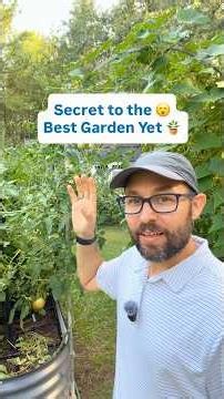Secret to the best garden yet … drip irrigation #dripirrigation #gardening #gardentips #growyourown