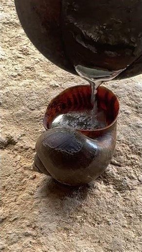 The Exact Moment Molten Metal Fills the Shell #shorts #satisfying #metalwork