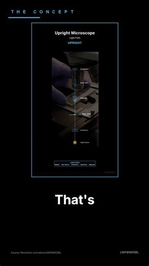 Two Microscope Designs, One Simple Rule