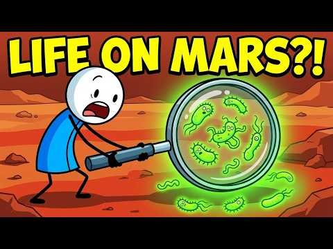 What If We Found Life on Mars Tomorrow?