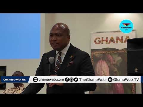 'Not a single complaint' – Ablakwa challenges claims of SA evacuation payment shortfalls
