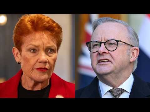 ‘Taking the fight against the PM’: One Nation’s rise could change politics forever