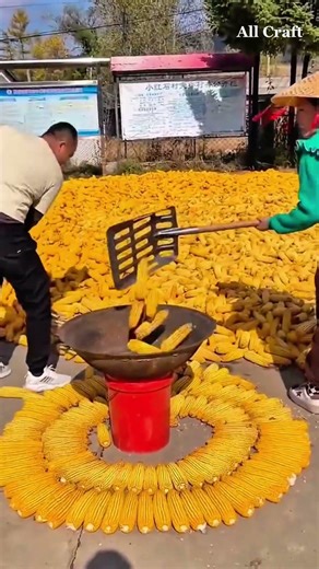 Small Dump Truck Loading Corn | Fast & Efficient Harvest Transport in Action