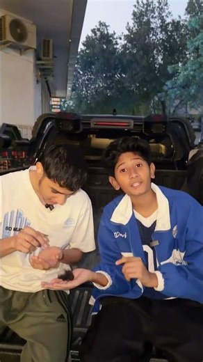 Count your Hair for Money Challenge! #shorts