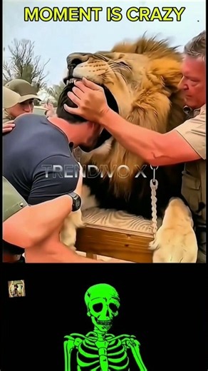 Tiger Attacks Out of Nowhere! 🐅😱 #shorts #trending #trollface